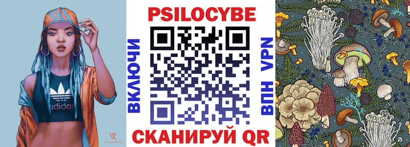 дарнет шоп Октябрьск Галлюциногенные грибы мицелий